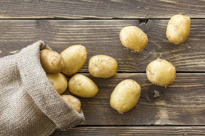 Trong khoai tây có chứa hàm lượng vitamin C và B3 giúp kích thích quá trình hồi phục da