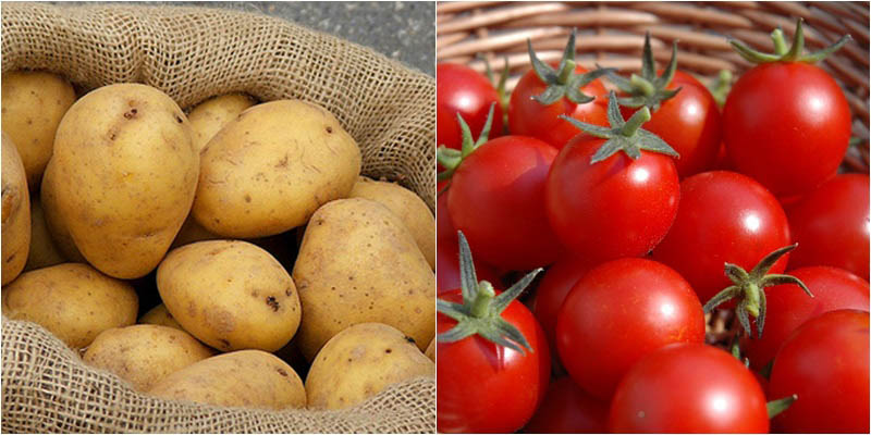 “Bộ đôi” khoai tây và cà chua giúp trị mụn hiệu quả