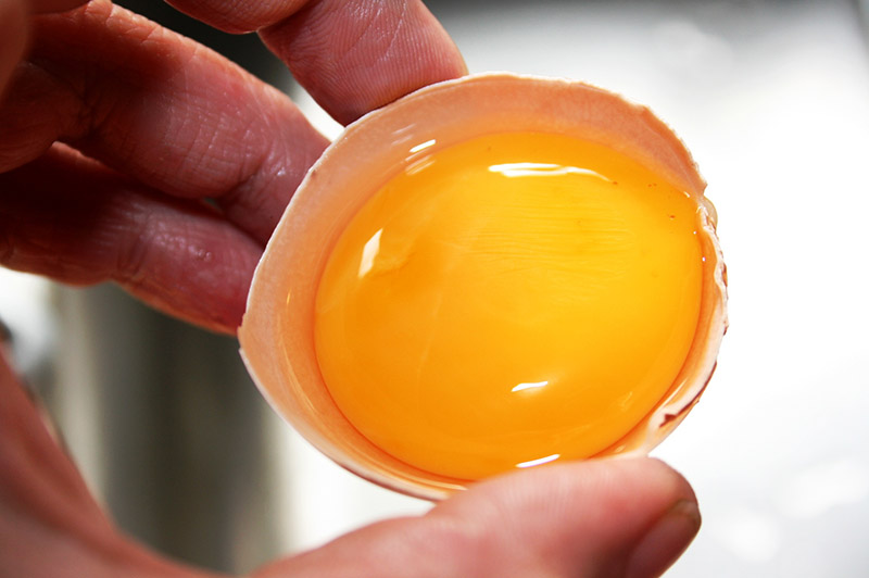 Lòng đỏ trứng gà có nhiều dưỡng chất tốt cho da