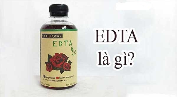 Giải đáp các câu hỏi về disodium edta là gì?