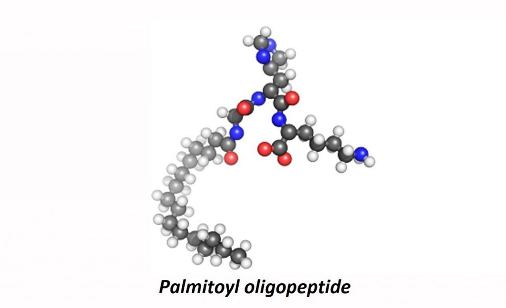 Cấu tạo phân tử của chất Oligopeptide