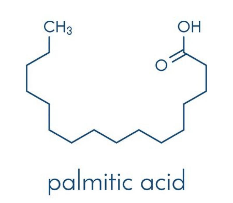 Palmitic Acid là gì